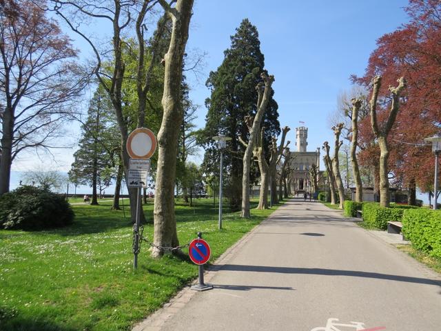 ... erreichen wir Langenargen und gleichzeitig das Schloss Montfort