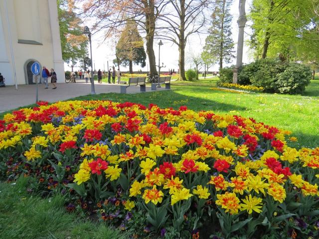 der Schlosspark ist ein einziges Blumenmeer