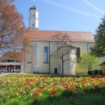 Blick auf die Kirche von Langenargen