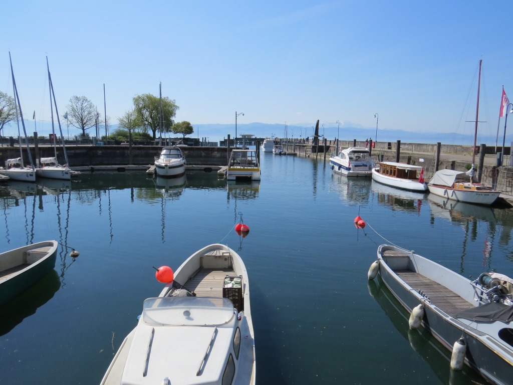 beim Hafen von Langenargen