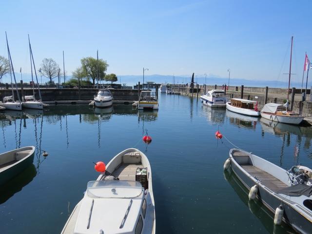 beim Hafen von Langenargen