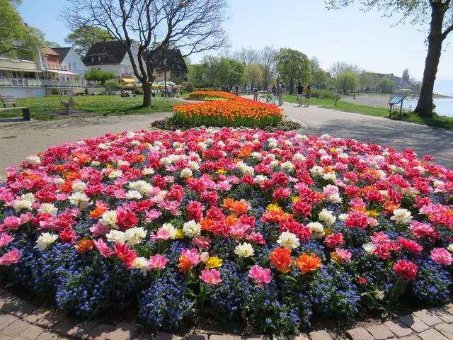 riesige Blumenbeete können wir während dem laufen bestaunen