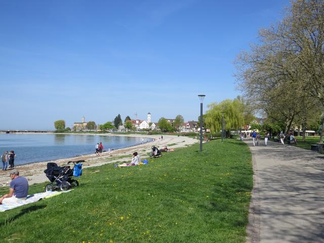 Blick zurück nach Langenargen