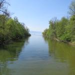 Blick von der Brücke auf den Bodensee