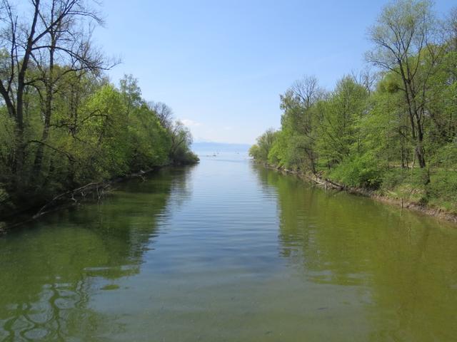 Blick von der Brücke auf den Bodensee