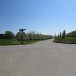 kurz nach Mittelmühle biegen wir rechts Richtung Retterschen ab