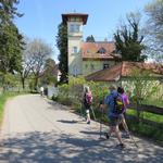 nach dem Mittagessen verlassen wir Nonnenhorn und laufen weiter Richtung Wasserburg