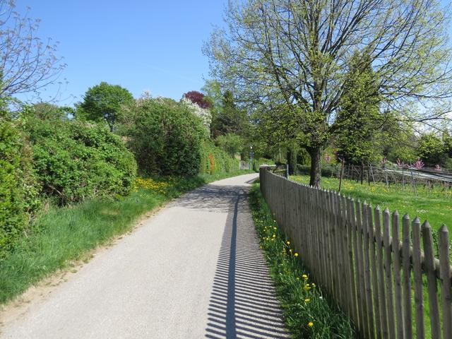 auf dem Weg nach Lindau