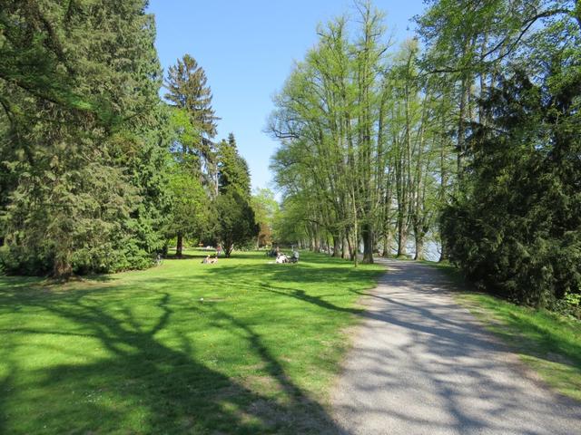 wir durchlaufen die riesige öffentliche Parkanlage vom Lindenhofpark