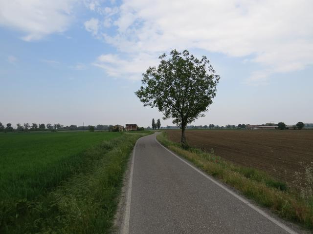 unser nächstes Ziel lautet nun Fiorenzuola d'Arda