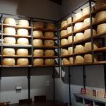 wir befinden uns im Herzen der Parmigiano Region