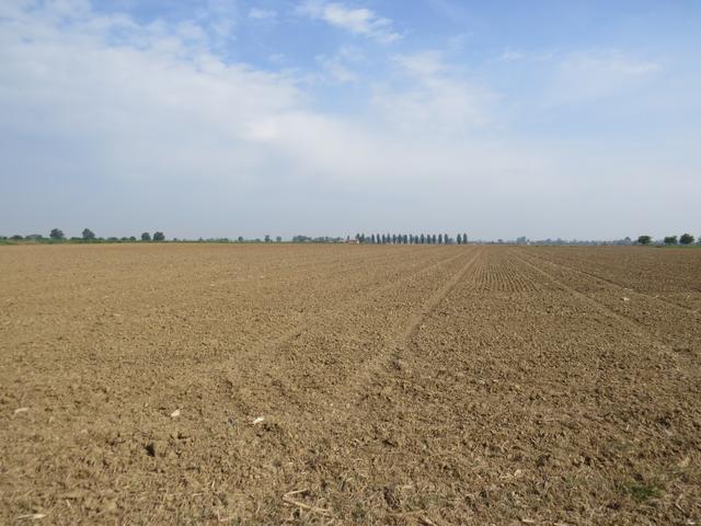 kein Hügel verkürzt den Blick an den endlos fernen Horizont