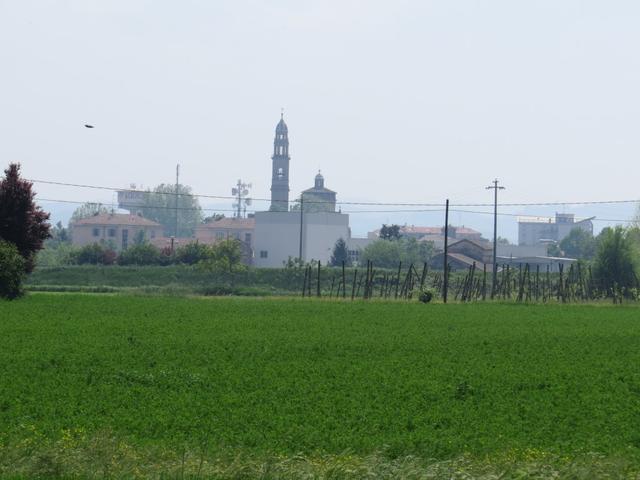 am Horizont ist schon Fidenza zu erkennen