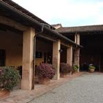 in der Osteria Vecchio Mulino Dallatana in Roncole Verdi, direkt neben dem Geburtshaus von Verdi...