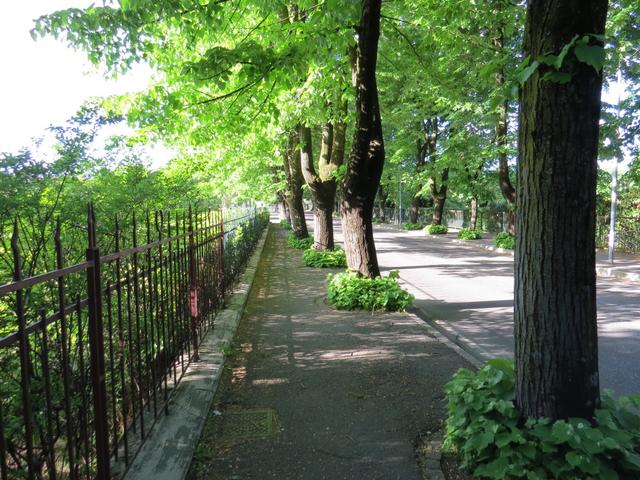 unter Bäumen und mit wenig Verkehr, verlassen wir das Stadtgebiet von Fidenza