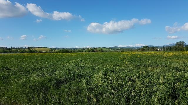 ...und was sehen wir, die Landschaft fängt an hügelig zu werden