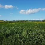 ...und was sehen wir, die Landschaft fängt an hügelig zu werden