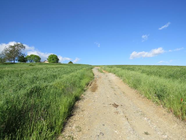 auf den Weg nach Castellazzo