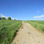 auf den Weg nach Castellazzo