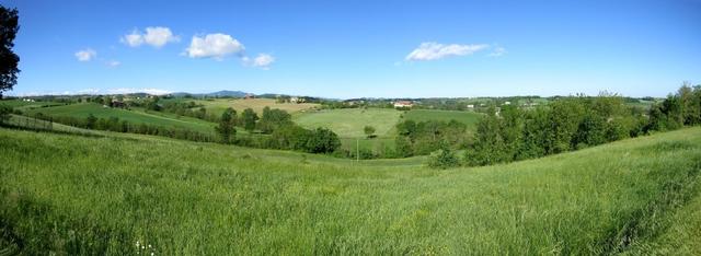 schönes Breitbildfoto mit Blick in die hügelige Landschaft im Hinterland von Fidenza