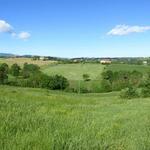 schönes Breitbildfoto mit Blick in die hügelige Landschaft im Hinterland von Fidenza