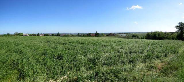 schönes Breitbildfoto mit Blick in die Ebene