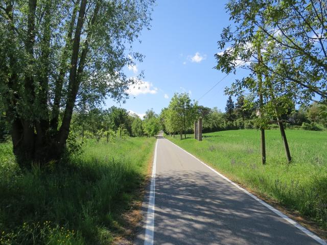 ein kurzes Stück wieder hinunter und wir befinden uns wieder auf der Via Francigena