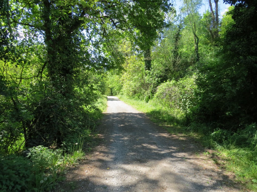 ein schöner Wanderweg führt uns durch ein Wald. Ein Vogelkonzert empfängt uns