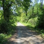 ein schöner Wanderweg führt uns durch ein Wald. Ein Vogelkonzert empfängt uns