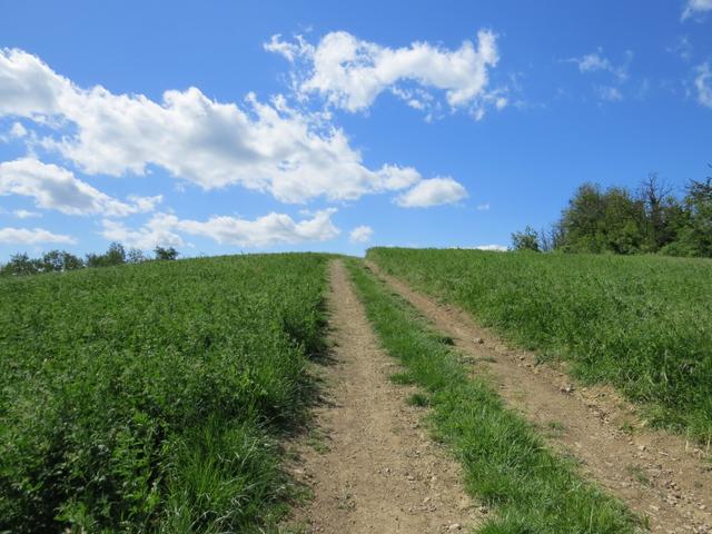 was für ein schöner Tag zum wandern