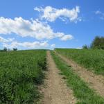 was für ein schöner Tag zum wandern