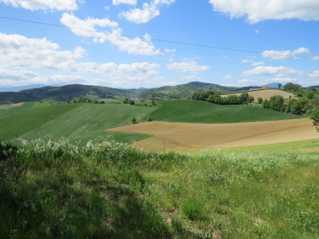 die hügelige Landschaft ist super schön