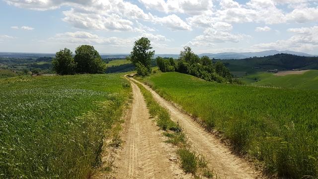 über einen Feldweg verlieren wir die gewonnenen Höhenmeter