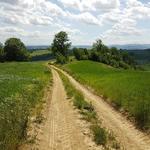 über einen Feldweg verlieren wir die gewonnenen Höhenmeter