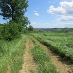 Cella ist erst ersichtlich, wenn man praktisch vor dem ersten Haus steht