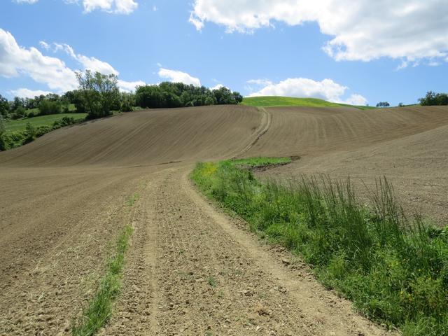 auf der anderen Seite geht es danach steil aufwärts