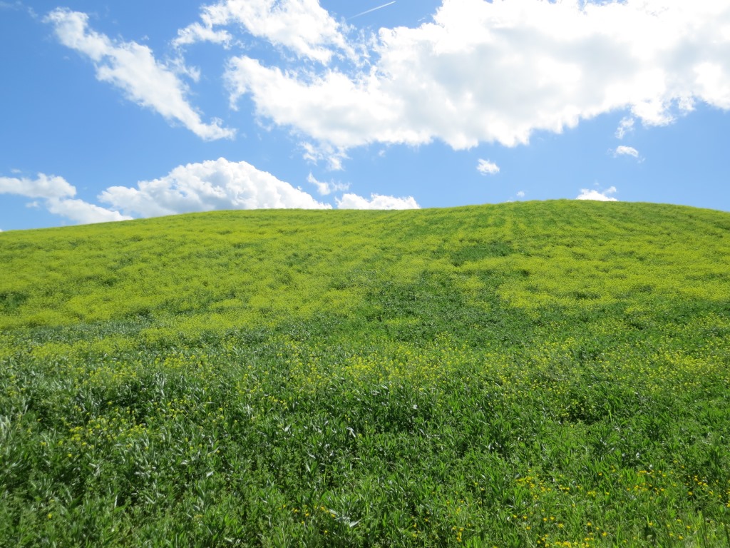 diese Farben einfach überwältigend