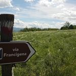 der Pilgerweg ist in der Regel gut beschildert, mit der Via Francigena App sind wir aber auf der sicheren Seite