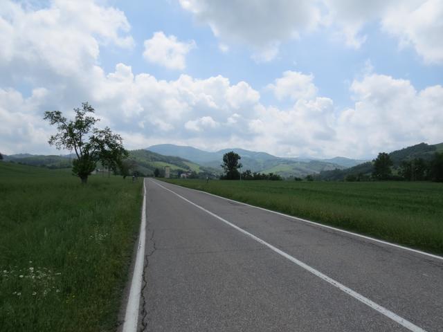 lange Zeit führt nun der Weg über eine Asphaltstrasse Richtung Sivizzano