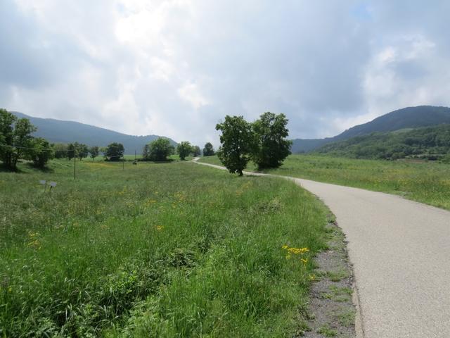 auf dem eher ruhigen Landsträsschen wandern wir weiter Richtung Terenzo