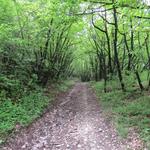 ...sondern ein paar Meter nach links , wo wir danach rechts in einen Pfad abbiegen