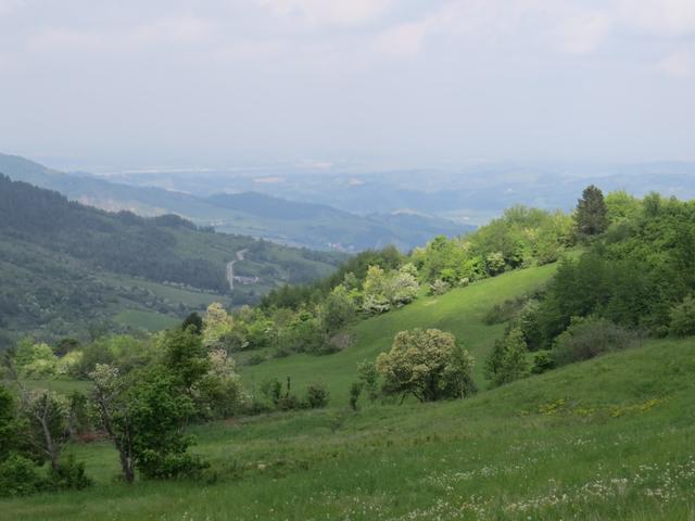 grandioser Blick über die hügelige Landschaft zum Fiume Taro