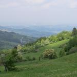 grandioser Blick über die hügelige Landschaft zum Fiume Taro