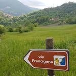 die Via Francigena führt uns nun wieder abwärts