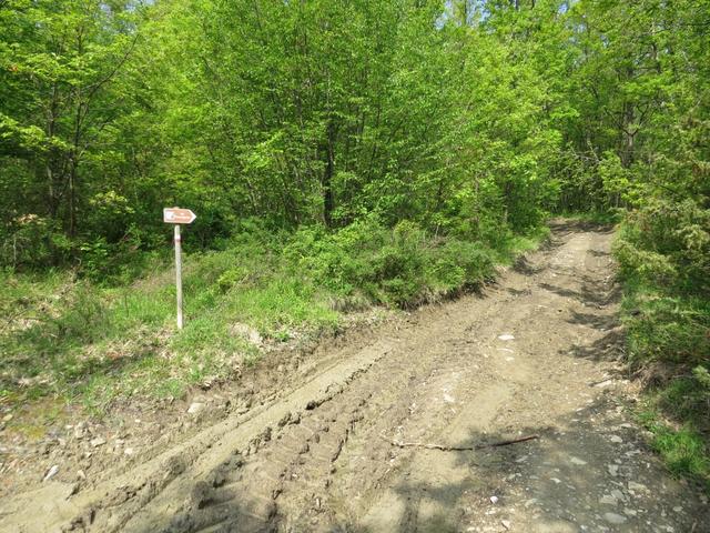 wir verlassen die Asphaltstrasse und biegen in einen Schlammweg hinein