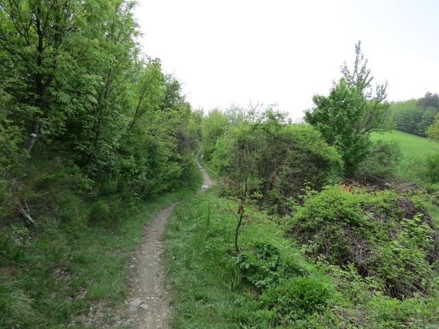 abwechslungsreich führt uns der Wanderweg durch dichtes Buschwerk, Wälder,...