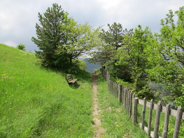 über einen sehr schönen Wanderweg geht es weiter Richtung Berceto