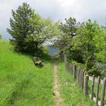 über einen sehr schönen Wanderweg geht es weiter Richtung Berceto