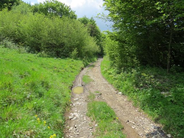 wir biegen links ab, und nehmen die Variante zum Monte Valoria unter die Füsse