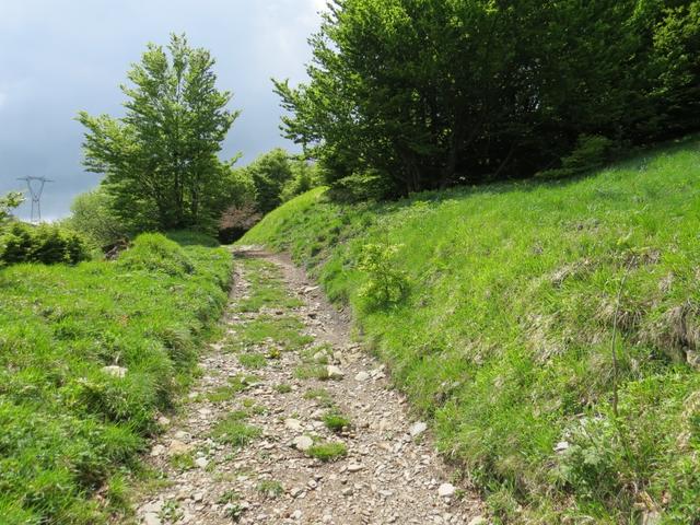 über einen sehr schönen Wanderweg gewinnen wir weiter an Höhe